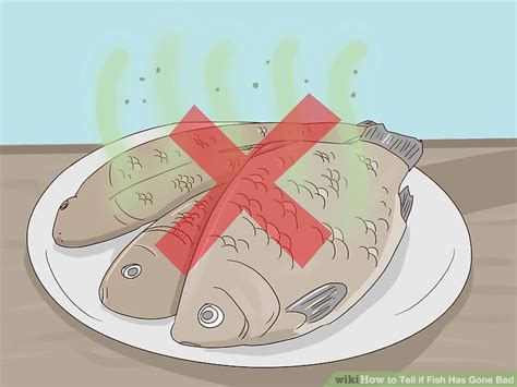 stale fish|How to Tell if Fish Has Gone Bad (And .